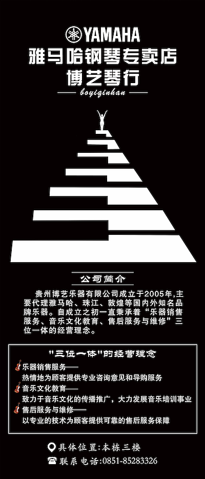 琴韵传情，乐动心声——文化教育咨询与您共谱华章